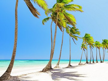Zdjęcie kierunku: Punta Cana
